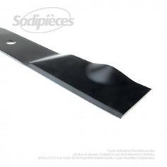 Lame pour AS MOTOR 4145 2