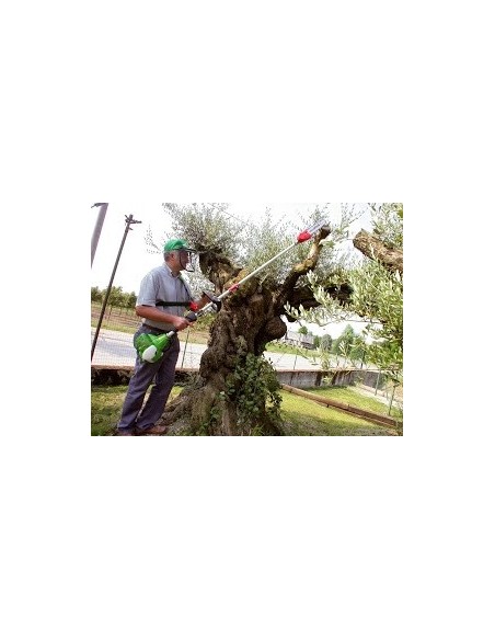 ELAGUEUSE SUR PERCHE MTP 2.9 SR