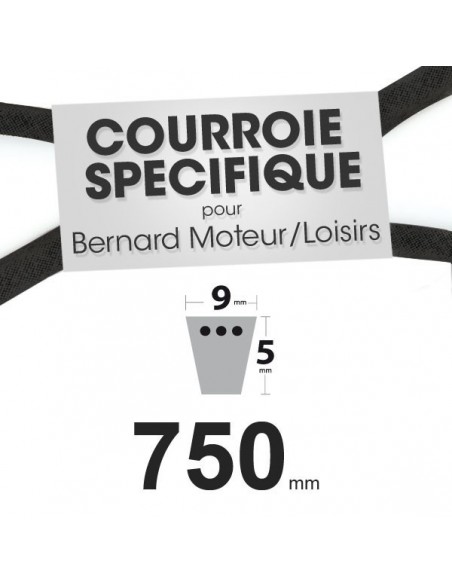 courroie