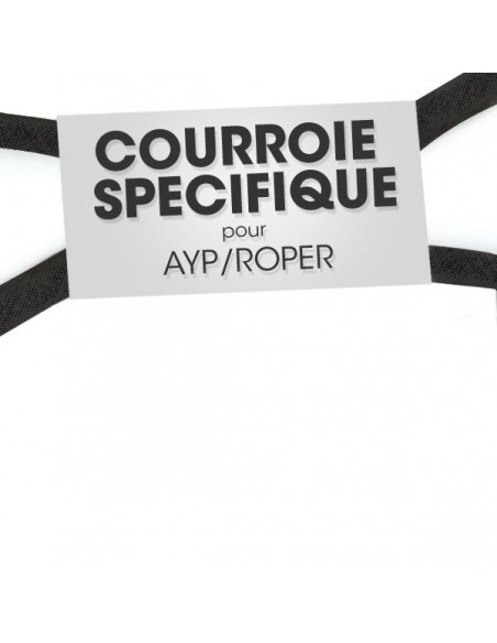 courroie