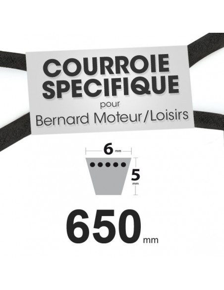 courroie