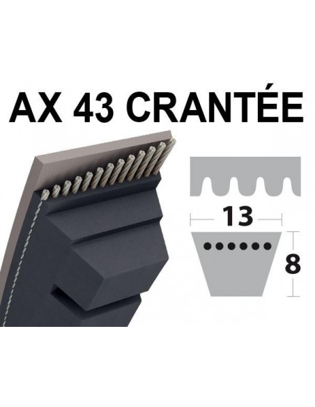 Courroie AX43 Trapézoïdale crantée. 13 mm x 1142 mm.
