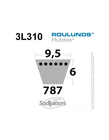 Courroie tondeuse 3L310 Roulunds Continental 9,5 x 6 x 787 mm