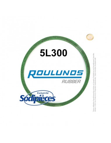 Courroie tondeuse 5L300 Roulunds Continental 15,8 x 9,5 x 762 mm