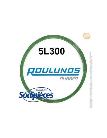 Courroie tondeuse 5L300 Roulunds Continental 15,8 x 9,5 x 762 mm