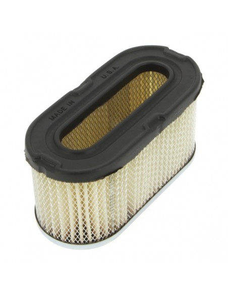 FILTRE A AIR BS 491950