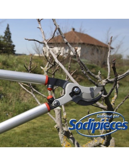 Ebrancheur démultiplié acier trempé Bahco Pradines P280SL-80 55 mm. Pro. Fabriqué en France