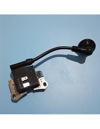 Bobine d'allumage pour moteur...