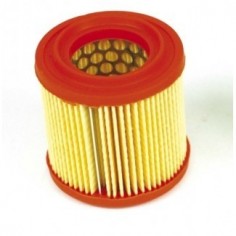 Filtre à air AS Motor 4221