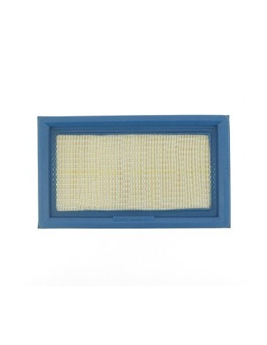 Filtre à air pour Lawn Boy 613361