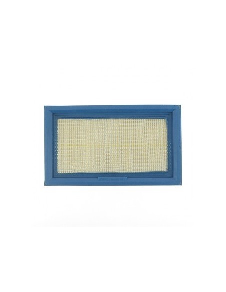 Filtre à air pour Lawn Boy 613361