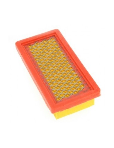 Filtre à air pour Tecumseh 23410061