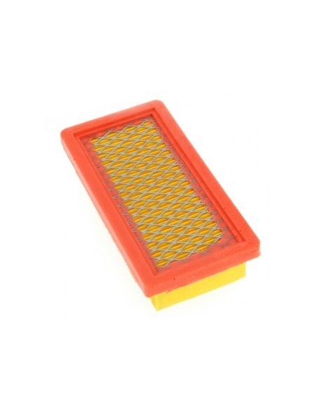 Filtre à air pour Tecumseh 23410061