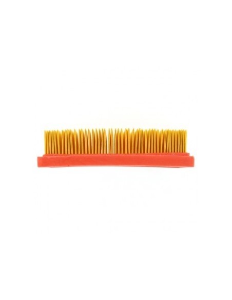 Filtre à air pour Tecumseh 23410061