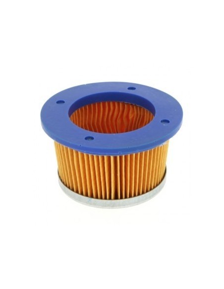 Filtre à air pour Tecumseh 30727