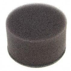 Filtre à air pour Tecumseh 31700