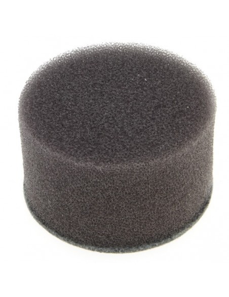 Filtre à air pour Tecumseh 31700