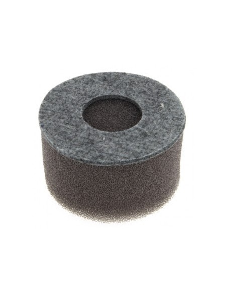 Filtre à air pour Tecumseh 31700