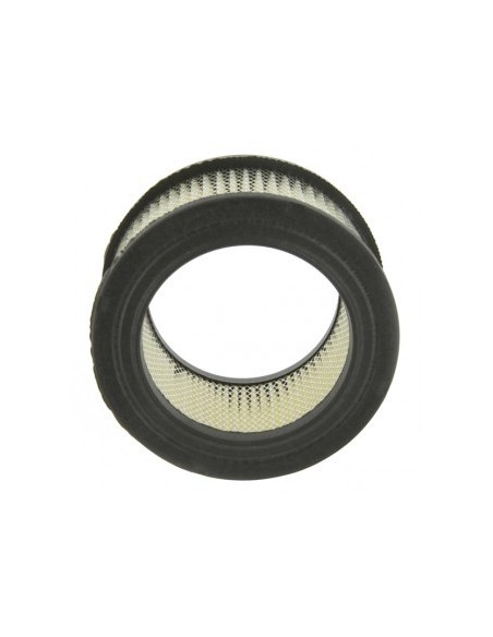 Filtre à air pour Tecumseh 31925, Kohler 231847