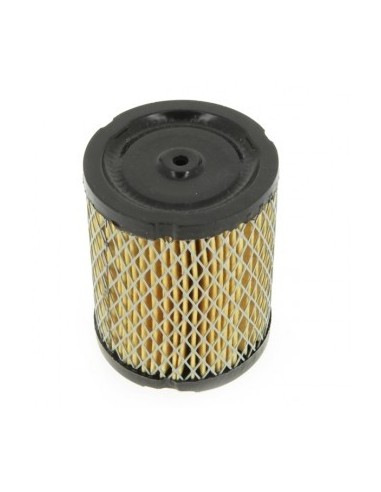 Filtre à air pour Tecumseh 34782