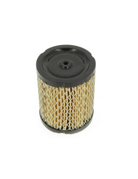 Filtre à air pour Tecumseh 34782