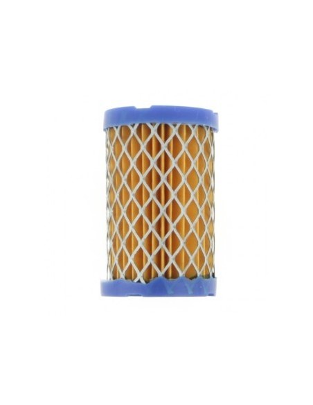 Filtre à air pour Tecumseh 35066