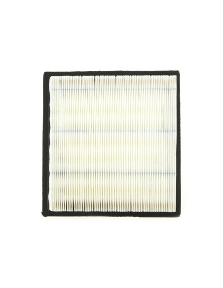 Filtre à air pour Tecumseh 37360
