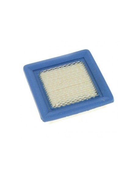 Filtre à air pour Tecumseh 450247