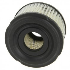 Filtre à air pour B&S 390492 2