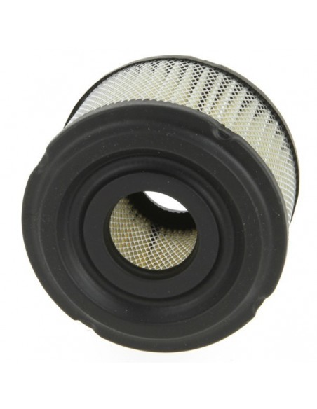 Filtre à air pour B&S 390492