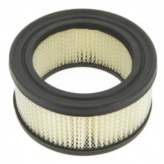 Filtre à air pour B&S 392286