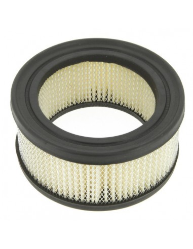 Filtre à air pour B&S 392286