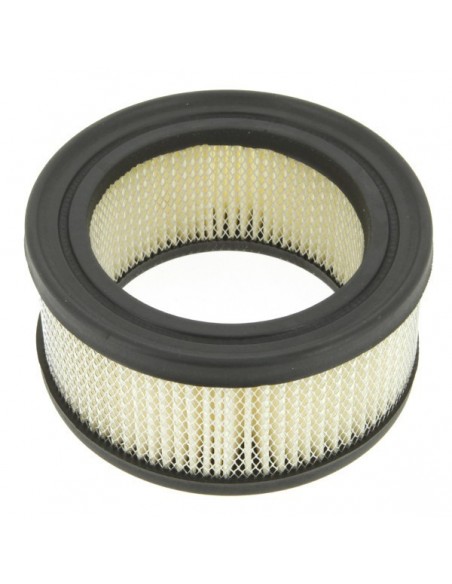 Filtre à air pour B&S 392286