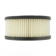 Filtre à air pour B&S 392286 2