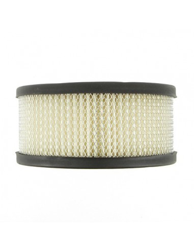 Filtre à air pour B&S 392286