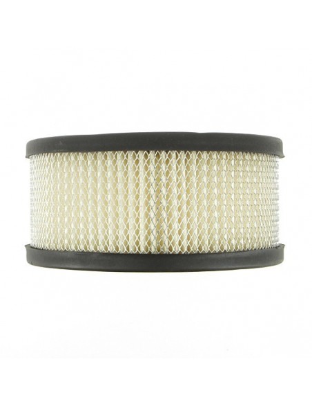 Filtre à air pour B&S 392286