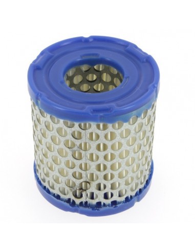 Filtre à air pour B&S 392308