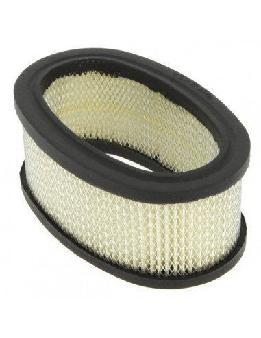 Filtre à air pour B&S 393406