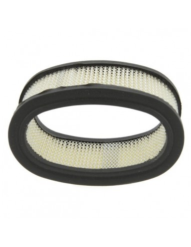 Filtre à air pour B&S 393406
