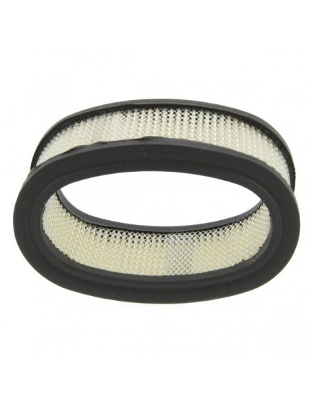 Filtre à air pour B&S 393406