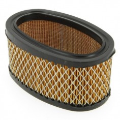 Filtre à air pour B&S 393725