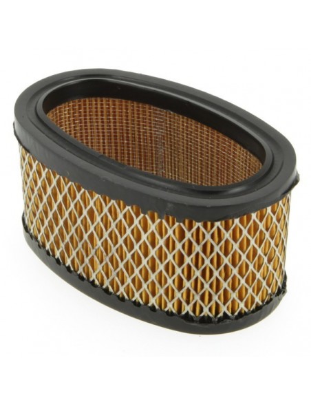 Filtre à air pour B&S 393725