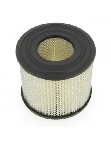 Filtre à air pour B&S 393957-390930