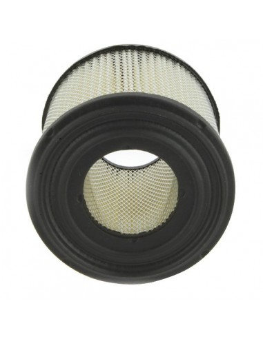 Filtre à air pour B&S 393957-390930