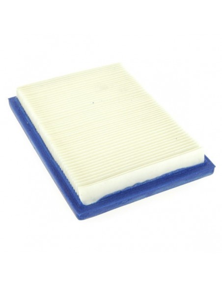Filtre à air pour B&S 397795