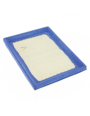 Filtre à air pour B&S 397795
