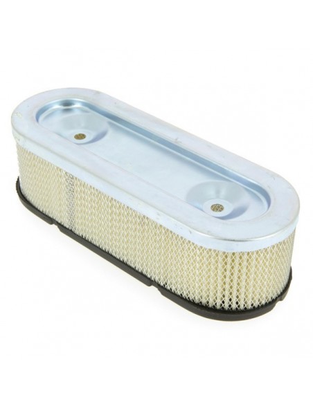 Filtre à air pour B&S 399968