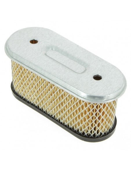 Filtre à air pour B&S 491021