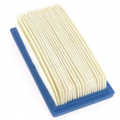 Filtre à air pour B&S 491384