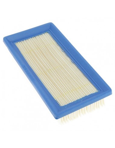 Filtre à air pour B&S 491384